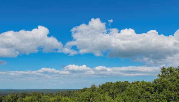 outdoors,sky,day,cloud,tree,blue sky,no humans,ocean,cloudy sky,nature,scenery,forest,horizon,summer,water,grass,landscape