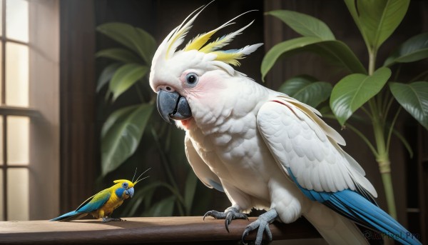 HQ,blush,open mouth,blue eyes,wings,indoors,blurry,black eyes,no humans,window,blurry background,bird,animal,feathers,plant,realistic,potted plant,animal focus,talons,beak,blue feathers,parrot,solo,looking at viewer,standing,outdoors,day,leaf