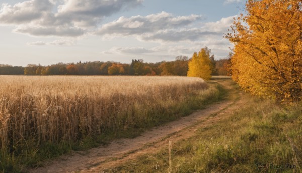 outdoors,sky,day,cloud,tree,blue sky,no humans,cloudy sky,grass,nature,scenery,forest,road,autumn leaves,field,autumn,landscape,path,water,sunset,horizon