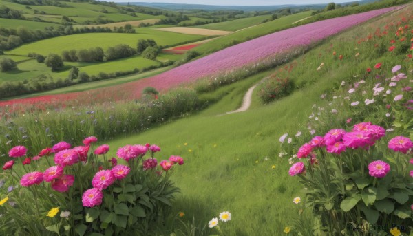 flower,outdoors,sky,day,tree,no humans,bird,grass,white flower,nature,scenery,pink flower,yellow flower,purple flower,road,field,flower field,landscape,path,cloud,blue sky,dutch angle,leaf,plant,forest,mountain,bush,river,mountainous horizon