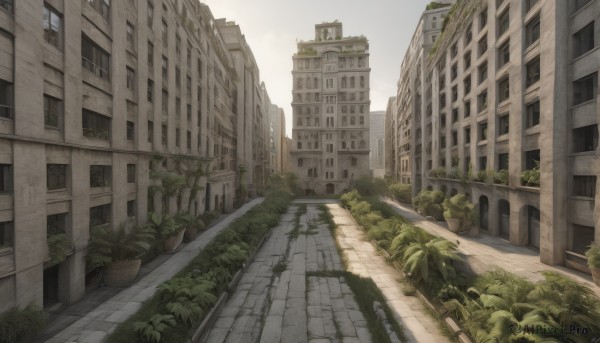 outdoors,sky,day,cloud,tree,no humans,window,sunlight,grass,plant,building,scenery,city,potted plant,road,bush,cityscape,ruins,street,skyscraper,overgrown,path