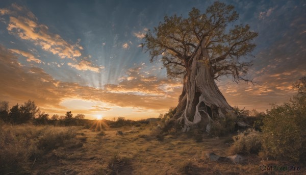 A striking sunset outdoors featuring the elegance of a landscape