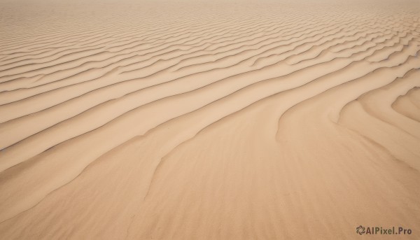 monochrome,outdoors,no humans,traditional media,beach,scenery,sand,sepia,desert,solo,close-up,brown theme,still life