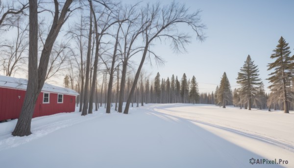 The wonder of a motor vehicle in a picturesque snowy day