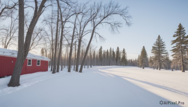 outdoors,sky,day,cloud,tree,blue sky,no humans,window,building,nature,scenery,snow,forest,mountain,road,house,winter,bare tree,footprints,pine tree,ground vehicle,motor vehicle,truck