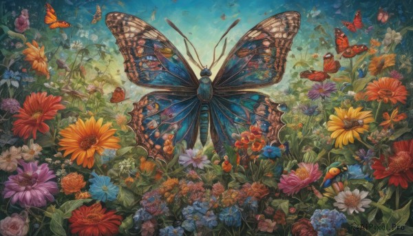 A unique view of a butterfly in day