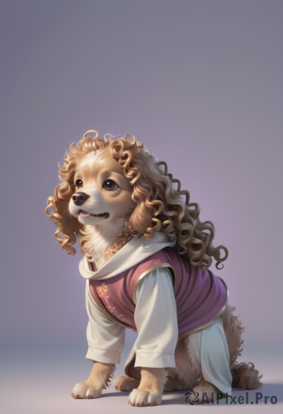 A inspiring view of a dog in dynamic scene