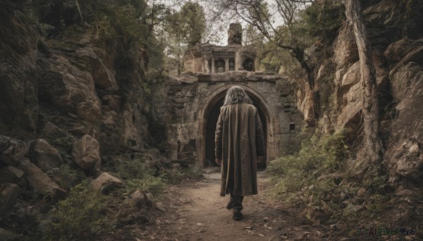 solo,1boy,standing,outdoors,day,tree,dutch angle,no humans,grass,nature,scenery,forest,walking,rock,ruins,moss,stone,rubble,1girl,grey hair,male focus,from behind,cloak,robe,facing away,wide shot,arch