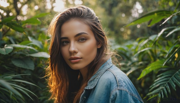 1girl,solo,long hair,looking at viewer,smile,brown hair,shirt,brown eyes,upper body,outdoors,parted lips,teeth,day,blurry,from side,lips,looking to the side,depth of field,blurry background,leaf,sunlight,blue shirt,plant,portrait,freckles,realistic,nose,jacket,thick eyebrows,denim,blue jacket,nature,dappled sunlight,bokeh,denim jacket