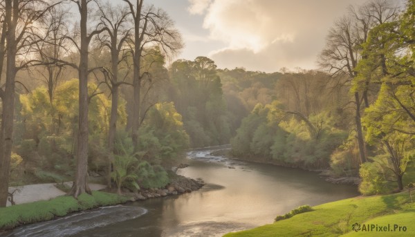 outdoors,sky,day,cloud,water,tree,no humans,sunlight,grass,nature,scenery,forest,rock,road,river,landscape,path,cloudy sky,sunset,bush