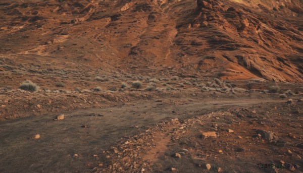 A glimpse of a landscape in a lush outdoors