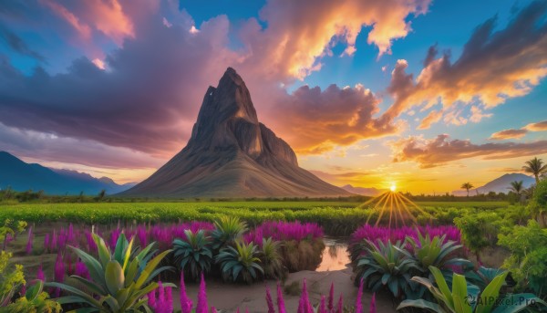 A landscape framed by the beauty of a lush sunset outdoors