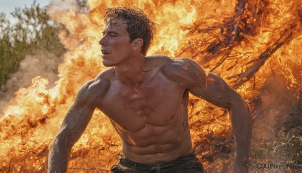 The serene presence of a male in a lush fiery outdoors