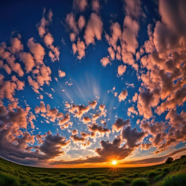 outdoors,sky,day,cloud,tree,blue sky,dutch angle,no humans,sunlight,cloudy sky,grass,nature,scenery,sunset,sun,horizon,field,fisheye,lens flare,light rays,landscape,sunrise