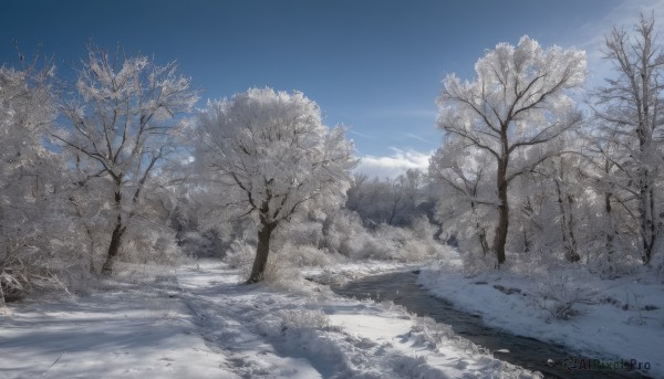 outdoors,sky,day,cloud,tree,blue sky,no humans,shadow,nature,scenery,snow,forest,winter,bare tree,water,grass,ice,landscape