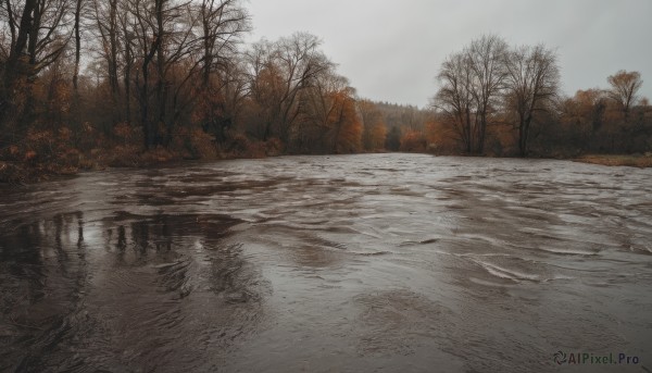 The serene presence of a landscape in a peaceful snowy day