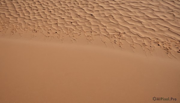 monochrome,outdoors,water,no humans,bird,ocean,traditional media,beach,scenery,sand,sepia,shore,brown theme,from above,desert,footprints