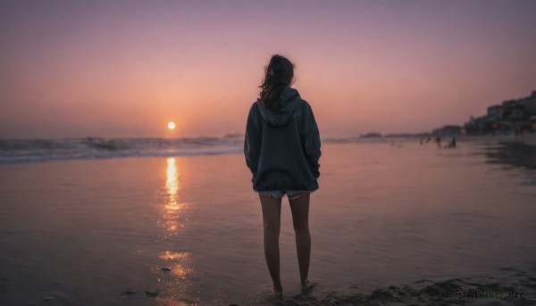 1girl, solo, long hair, black hair, standing, jacket, outdoors, sky, shorts, hood, water, from behind, blurry, short shorts, hoodie, blurry background, ocean, beach, hood down, denim, scenery, hooded jacket, denim shorts, sunset, sand, sun, horizon, facing away