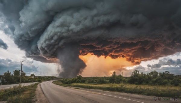 A unique subject showcased in a vivid outdoors