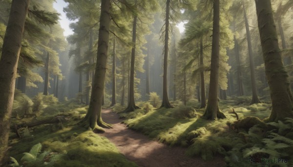A landscape showcased in a tranquil day