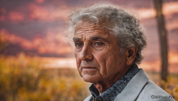 solo,looking at viewer,shirt,1boy,closed mouth,jacket,upper body,white hair,grey hair,male focus,outdoors,necktie,sky,collared shirt,blurry,grey eyes,blurry background,formal,suit,blue shirt,portrait,curly hair,realistic,old,old man,wrinkled skin,cloud,black eyes,tree,facial hair,expressionless,cloudy sky,sunset