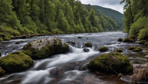 outdoors,sky,day,artist name,cloud,water,tree,no humans,watermark,nature,scenery,forest,rock,mountain,realistic,river,waterfall,landscape,fog,web address