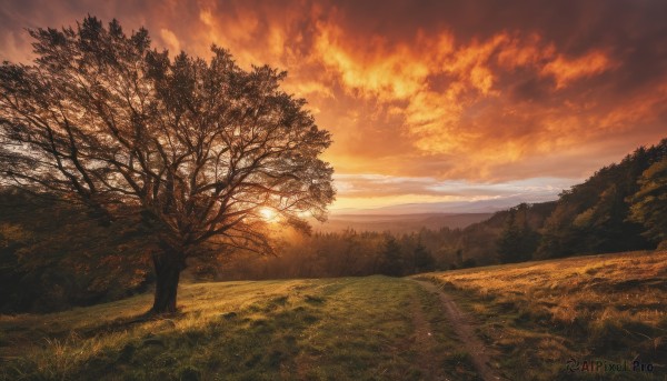 A magnificent landscape within sunset outdoors