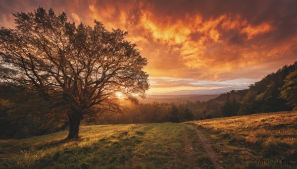 outdoors,sky,cloud,tree,no humans,sunlight,cloudy sky,grass,nature,scenery,forest,sunset,mountain,sun,field,evening,landscape,orange sky,hill,red sky,horizon,path