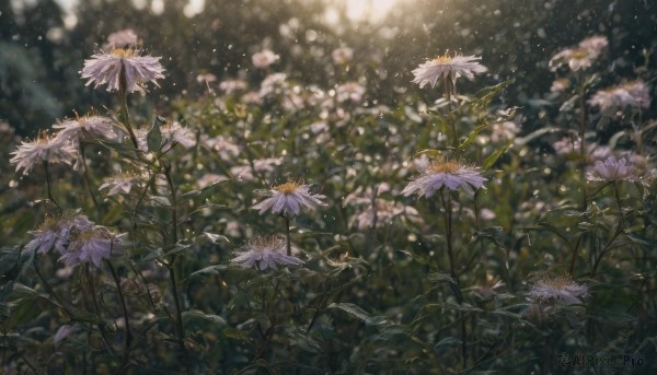A unique subject captured beautifully in a tranquil outdoors
