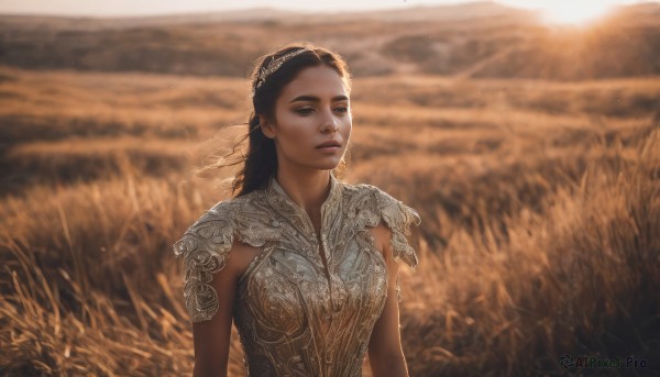 1girl,solo,long hair,breasts,brown hair,black hair,dress,brown eyes,closed mouth,upper body,outdoors,dark skin,armor,blurry,dark-skinned female,lips,depth of field,blurry background,realistic,field,looking at viewer,sunlight,wind,backlighting,wheat