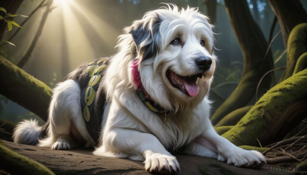 Day brought to life with a dynamic dog