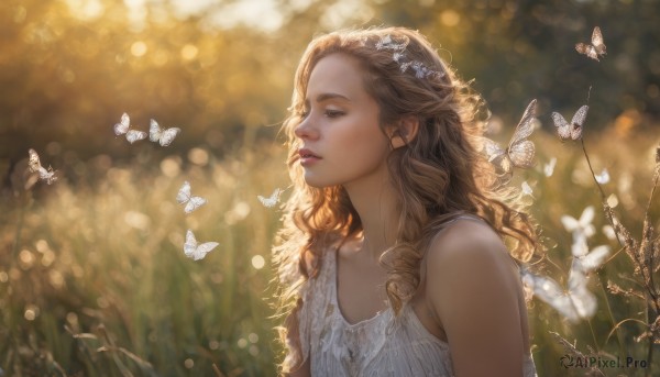 A butterfly showcased in a bold outdoors