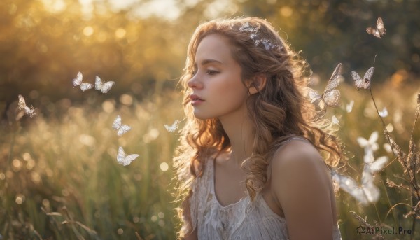 1girl, solo, long hair, blonde hair, dress, bare shoulders, brown eyes, upper body, outdoors, parted lips, sleeveless, white dress, blurry, lips, eyelashes, depth of field, blurry background, bug, butterfly, curly hair, realistic, nose, bokeh