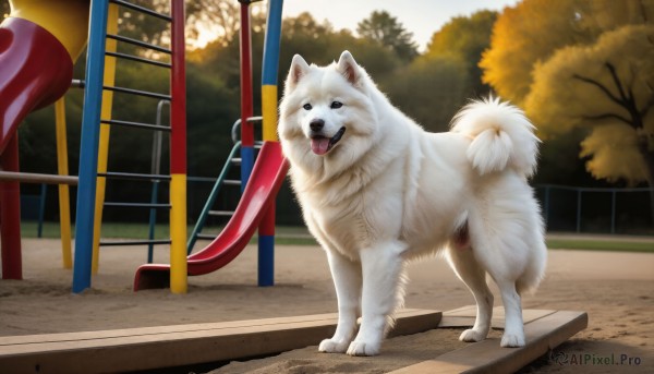 HQ,open mouth,outdoors,day,tongue,tongue out,tree,no humans,animal,dog,realistic,fence,flag,animal focus,shiba inu,looking at viewer,standing,full body,sky,signature