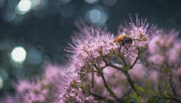 flower, blurry, tree, no humans, night, depth of field, scenery, blurry foreground, purple flower, branch