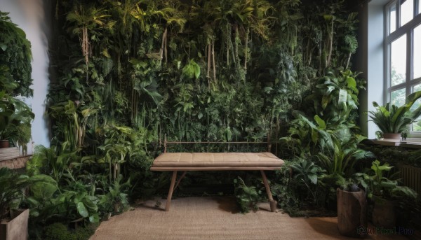 The serene presence of a indoors in a breathtaking day