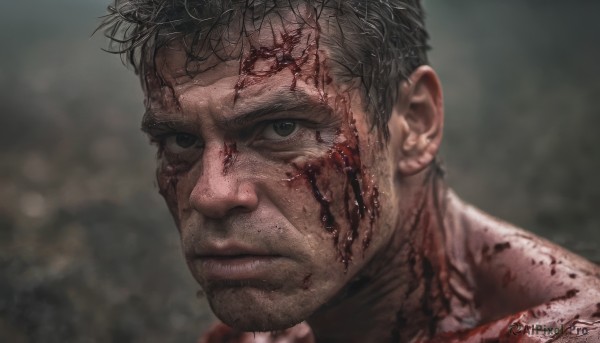 solo,looking at viewer,short hair,black hair,1boy,closed mouth,grey hair,male focus,blurry,black eyes,grey eyes,blood,blurry background,scar,portrait,veins,injury,blood on face,realistic,grey background,facial hair,close-up,serious,manly