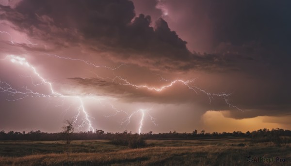 outdoors,sky,cloud,tree,no humans,cloudy sky,grass,nature,scenery,sunset,electricity,lightning,landscape,red sky,forest,silhouette,field