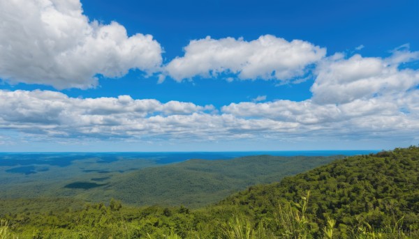 outdoors,sky,day,cloud,blue sky,no humans,ocean,cloudy sky,grass,nature,scenery,mountain,horizon,field,landscape,mountainous horizon,hill,signature,tree,forest,summer