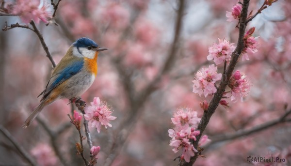 A vibrant abstract captured in background
