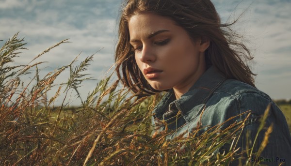 1girl,solo,long hair,brown hair,brown eyes,closed mouth,jacket,closed eyes,upper body,outdoors,sky,day,cloud,blurry,lips,cloudy sky,grass,wind,messy hair,realistic,nose,field,wheat,shirt,one eye closed,collared shirt,blue sky,depth of field,blue shirt,striped shirt