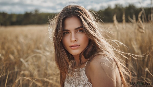 1girl,solo,long hair,looking at viewer,smile,brown hair,dress,bare shoulders,brown eyes,upper body,outdoors,parted lips,sleeveless,day,blurry,lips,depth of field,blurry background,veil,freckles,realistic,nose,blue eyes,sky,white dress,wind,field,wheat