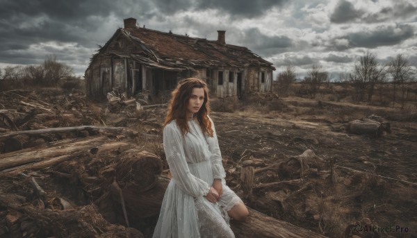 1girl,solo,long hair,looking at viewer,brown hair,long sleeves,dress,brown eyes,outdoors,sky,cloud,white dress,tree,lips,cloudy sky,ground vehicle,building,scenery,motor vehicle,realistic,ruins,house,kneeling,own hands together,grass