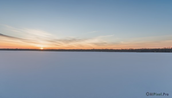 A unique subject in a picturesque sunset day