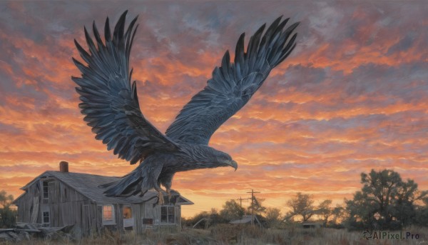 The serene presence of a unique subject in a lush sunset outdoors