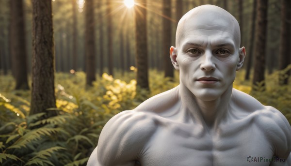 solo,looking at viewer,1boy,brown eyes,closed mouth,collarbone,upper body,flower,male focus,outdoors,blurry,tree,lips,muscular,sunlight,muscular male,nature,forest,topless male,light rays,realistic,bald,smile,white hair,depth of field,blurry background,colored skin,portrait,bush,old