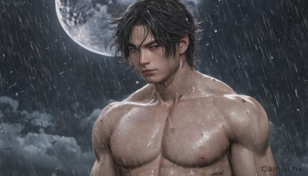 solo,looking at viewer,short hair,bangs,black hair,1boy,closed mouth,nipples,upper body,male focus,nude,outdoors,sky,artist name,cloud,wet,muscular,night,facial hair,bird,abs,moon,cloudy sky,pectorals,muscular male,night sky,bara,full moon,large pectorals,rain,topless male,realistic,stubble,wet hair,manly,sideburns,mature male