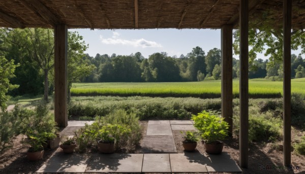 A calm day highlighting a garden