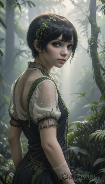 1girl,solo,breasts,looking at viewer,short hair,bangs,shirt,black hair,hair ornament,dress,brown eyes,closed mouth,standing,upper body,short sleeves,cowboy shot,outdoors,parted lips,day,puffy sleeves,looking back,artist name,signature,from behind,blurry,black eyes,black dress,from side,tree,puffy short sleeves,lips,see-through,depth of field,blurry background,leaf,sunlight,plant,nature,forest,freckles,realistic,nose,arms at sides,vines,blush,small breasts,looking to the side,expressionless,lace,see-through sleeves