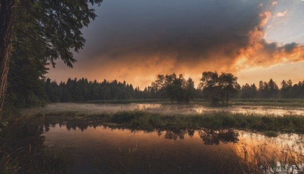 outdoors,sky,cloud,water,tree,no humans,sunlight,cloudy sky,grass,nature,scenery,forest,reflection,sunset,river,evening,lake,gradient sky,orange sky,reflective water,landscape